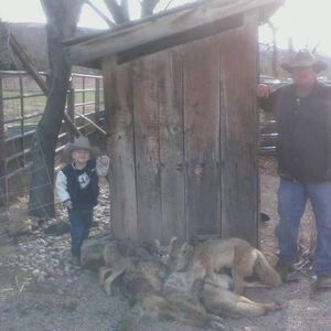 Meet your Posher, Merle